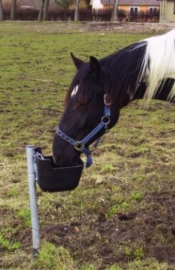 Frostfri drikkeautomat til køer og heste - 80 cm Frostfri drikkeautomat til køer og heste - 80 cm