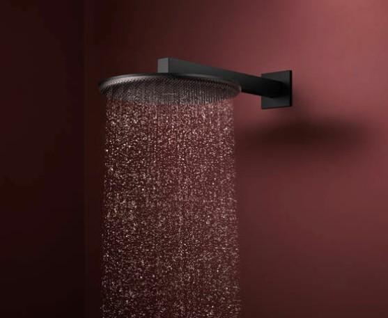 HG Raindance Alive S Hovedbruser 300 2jet EcoSmart med bruserbøjning - Mat sort